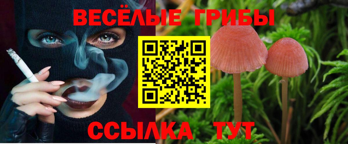 где продают наркотики  Вход с VPN  Кизляр  Галлюциногенные грибы прущие грибы 
