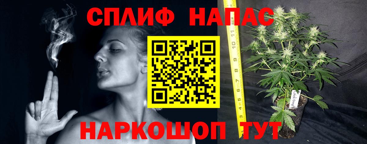 Каннабис Amnesia Кизляр