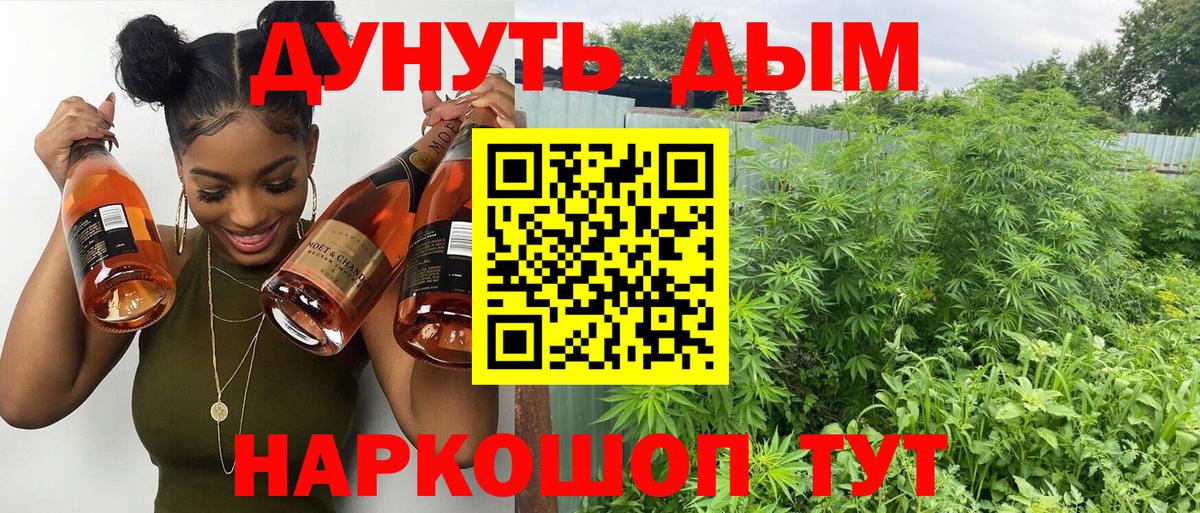 Бошки Шишки планчик  Вход с VPN  Кизляр  Каннабис планчик  Канабис тримм  Каннабис гибрид 